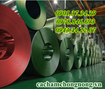 Tôn cuộn mạ màu