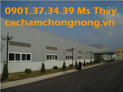 ưu điểm của tấm panel