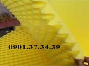Mút Tiêu Âm Là Gì? Những Ưu Điểm Của Mút Tiêu Âm