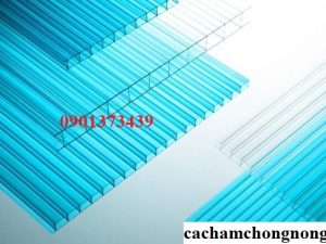 Tấm Lấy Sáng Là Gì?. Các Loại Tấm Lấy Sáng