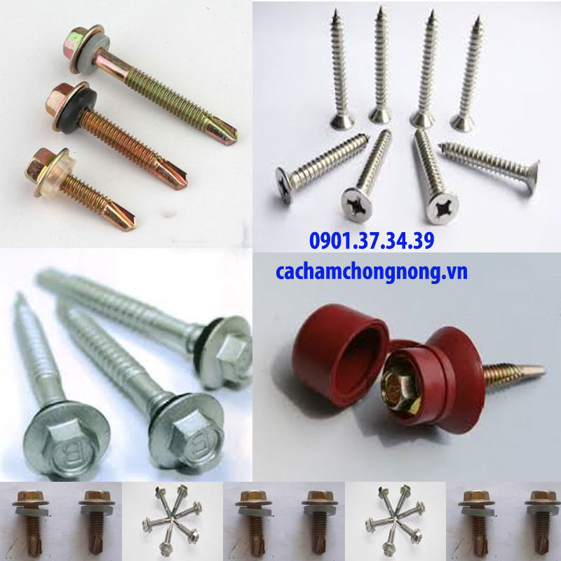 Bu long ố v&iacute;t bắn t&ocirc;n