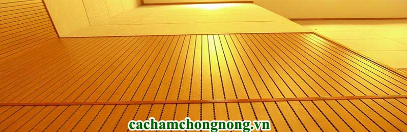 S&agrave;n gỗ ti&ecirc;u &acirc;m